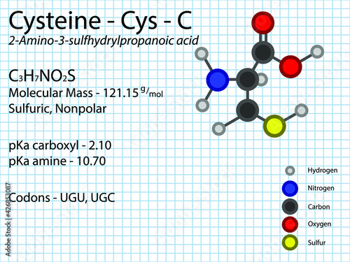 Cysteine - Cys - C - Conditionally Essential Amino Acid molecular formula, chemical structure, pKa, pKb, codons, mass. 2D Ball and stick model on school paper sheet background.