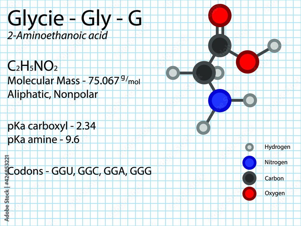 Vettoriale Stock Glycine - Gly - G - Non Essential Amino Acid molecular