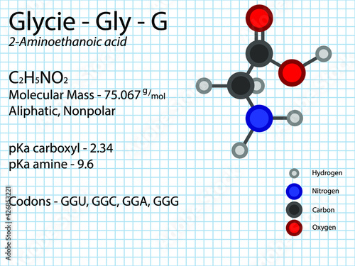 Glycine - Gly - G - Non Essential Amino Acid molecular formula, chemical structure, pKa, pKb, codons, mass. 2D Ball and stick model on school paper sheet background.