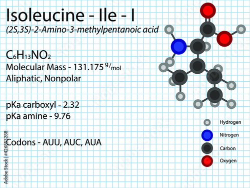 Isoleucine - Ile - I - Essential Amino Acid molecular formula, chemical structure, pKa, pKb, codons, mass. 2D Ball and stick model on school paper sheet background.