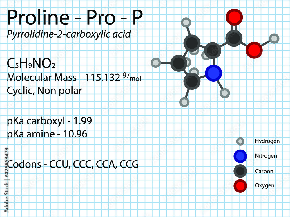 Proline Pro P Conditionally Essential Amino Acid molecular