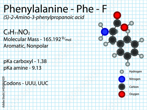 Phenylalanine - Phe - F - Essential Amino Acid molecular formula, chemical structure, pKa, pKb, codons, mass. 2D Ball and stick model on school paper sheet background.