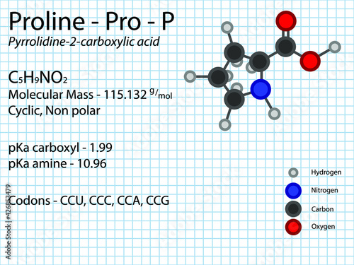 Proline - Pro - P - Conditionally Essential Amino Acid molecular formula, chemical structure, pKa, pKb, codons, mass. 2D Ball and stick model on school paper sheet background.