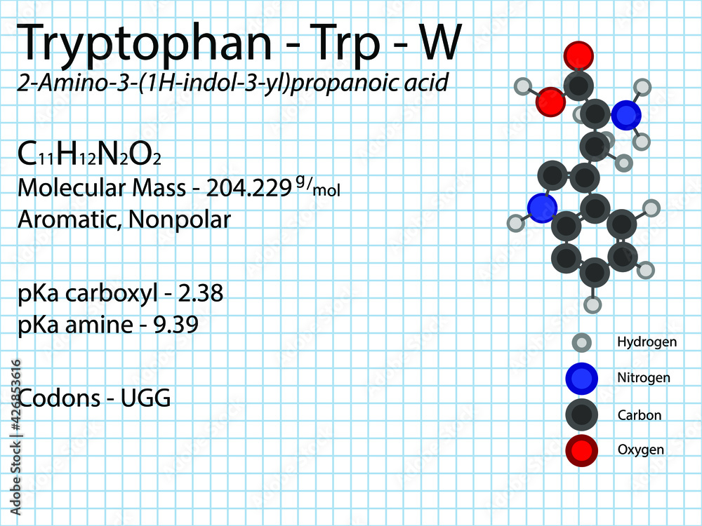 Tryptophan Trp W Essential Amino Acid molecular formula, chemical