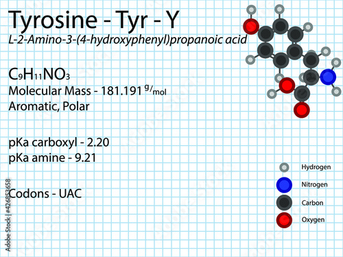 Tyrosine - Tyr - Y - Non Essential Amino Acid molecular formula, chemical structure, pKa, pKb, codons, mass. 2D Ball and stick model on school paper sheet background.