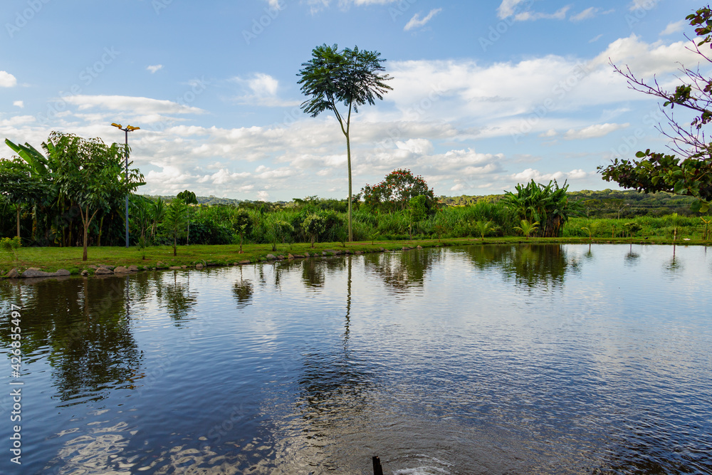 Obraz premium Paisagem. Foto do lago do Parque Balneário rodeado de árvores com céu azul com algumas nuvens.