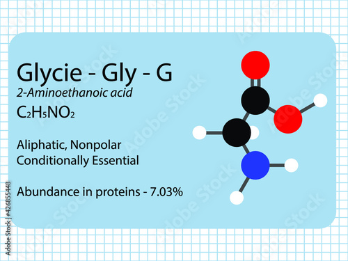 Glycine - Gly - G - Non Essential Amino Acid molecular formula, chemical structure, abundance in proteins. 2D Ball and stick model on school paper sheet background.