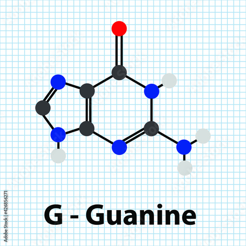 G - Guanine Nitrogenous base molecular structure. DNA nucleotide base purine biomolecule ball and stick model.