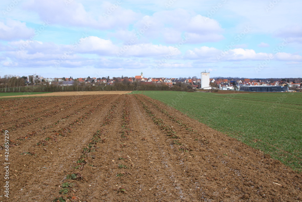 Blick über Wiesen und Felder auf die Gemeinde Heimerdingen Blick über Wiesen und Felder auf die Gemeinde Heimerdingen