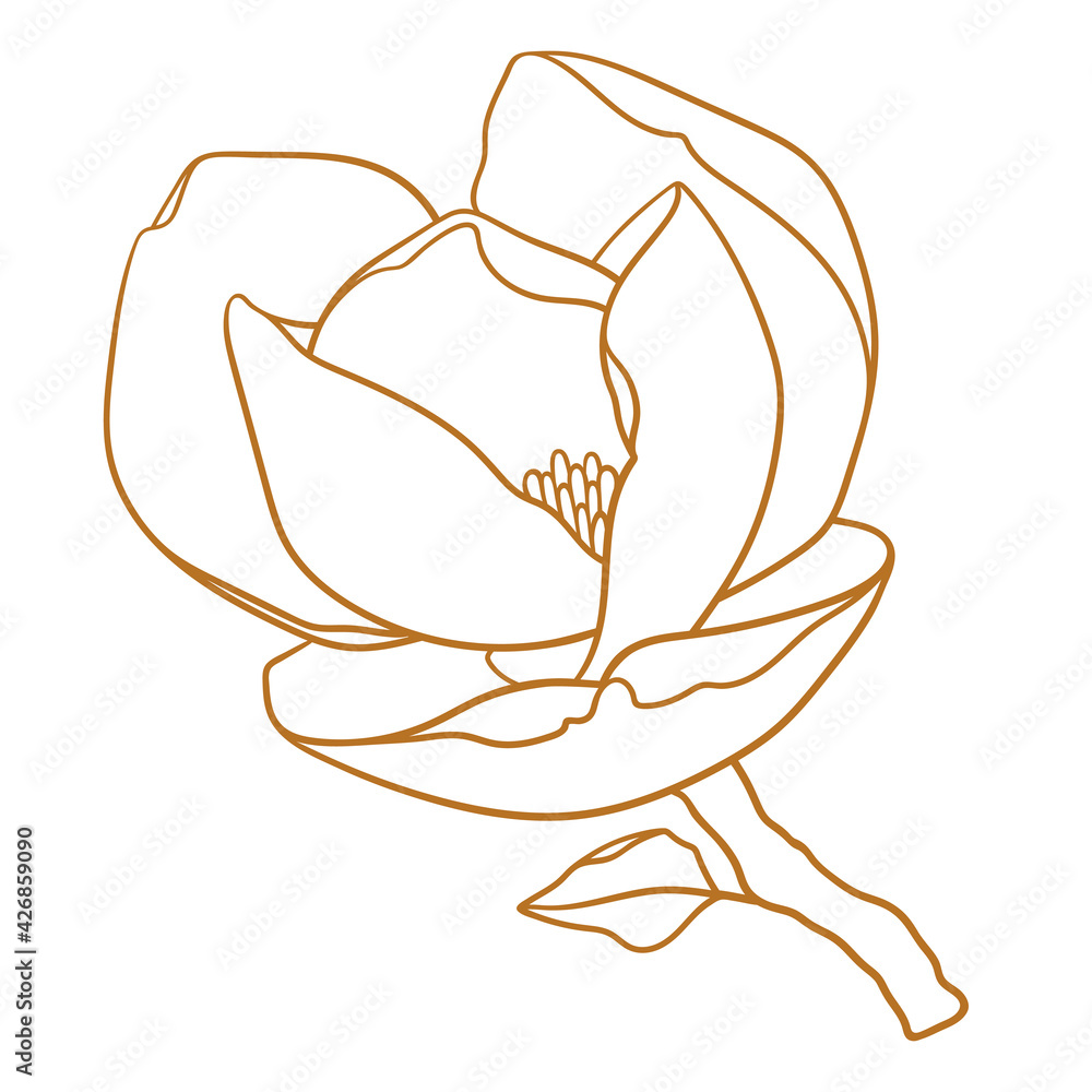12,900+ Magnolia Illustrations, Royalty-Free Vector Graphics & Clip Art -  iStock | Watercolor magnolia, Magnolia vector, Magnolia flower pattern