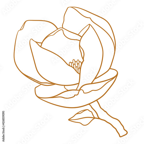 Magnolia flower with branch, thin line drawing on white background. Floral vector sketch in gold color, trendy style. Minimalist art. Illustration for wedding invitation, greeting card, coloring book.