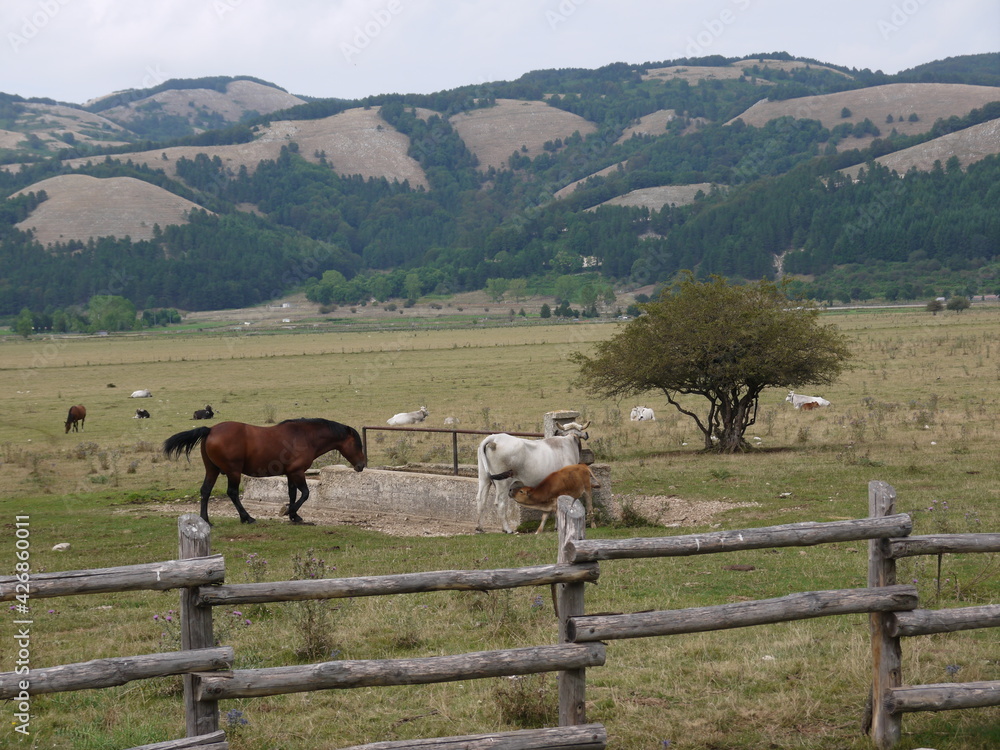 Obraz premium Panorama rurale