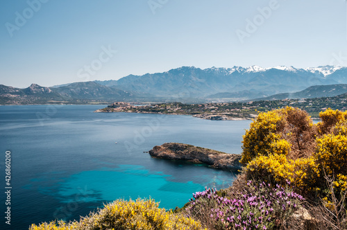 Citadel of Calvi and mountains in Corsica