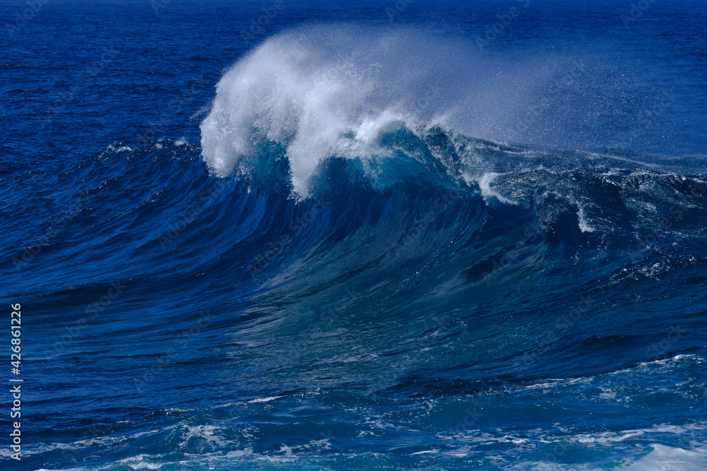 Fototapeta premium Beautiful blue ocean wave
