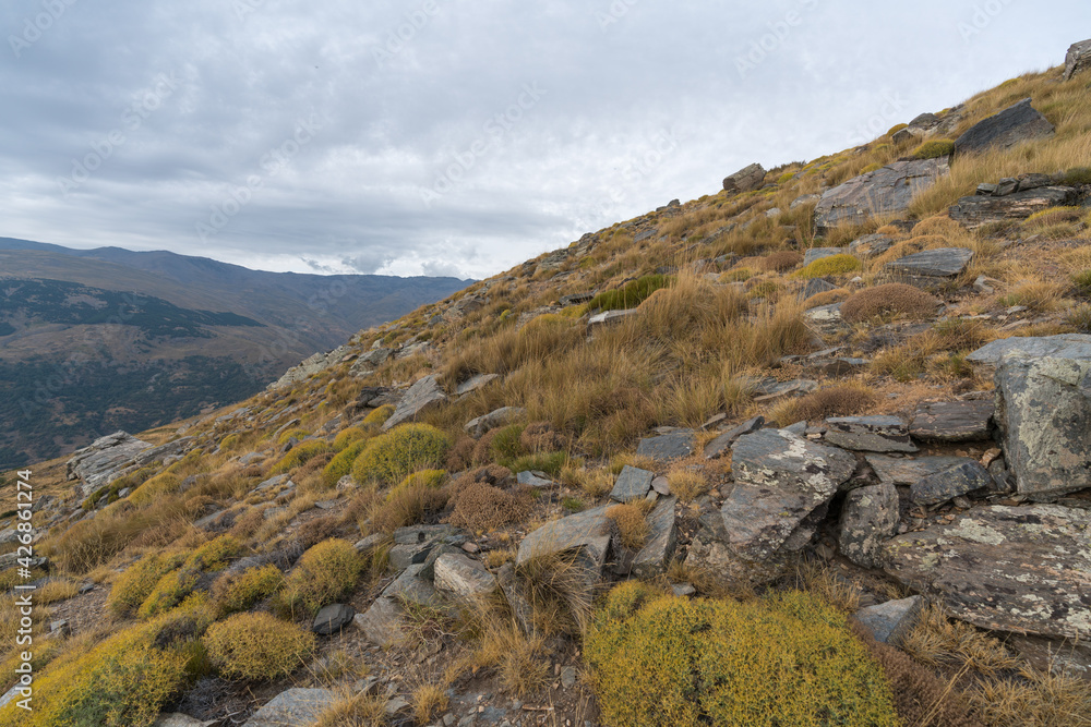 mountainous landscape of Sierra Nevada