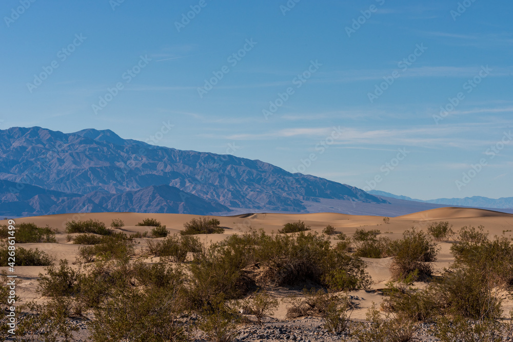 Sand dunes with green desert bushes and mountains beyond under a blue sky. Sand dunes with green desert bushes and mountains beyond under a blue sky.
