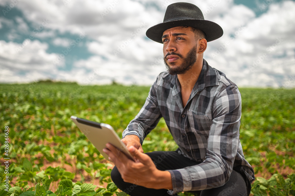 Latin American Farmer working on soybean plantation, examining crop development on tablet Latin American Farmer working on soybean plantation, examining crop development on tablet