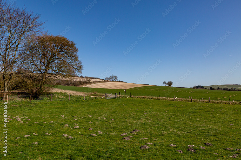 Obraz premium Countryside in West Sussex with a Blue Sky Overhead