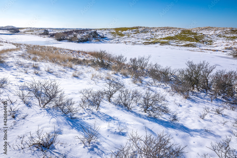Snowy and ice winter landscape at the Amsterdamse Waterleidingduinen Snowy and ice winter landscape at the Amsterdamse Waterleidingduinen