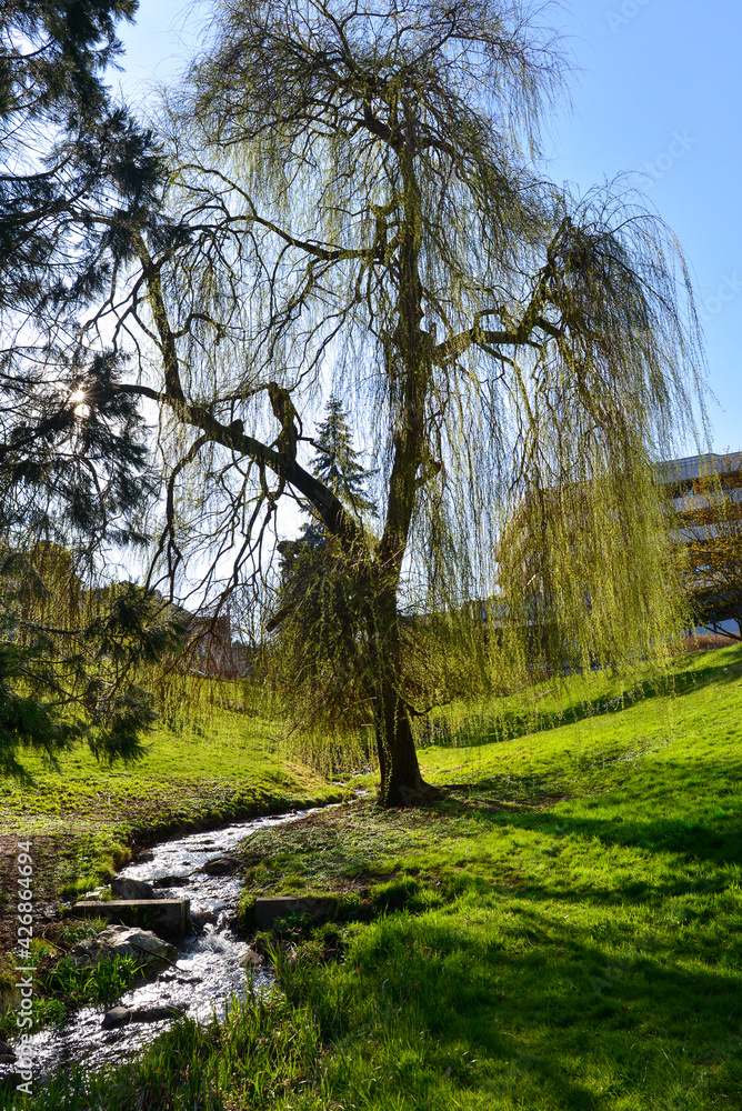 Kurort Schlangenbad in Rheingau-Taunus-Kreis / Hessen Kurort Schlangenbad in Rheingau-Taunus-Kreis / Hessen