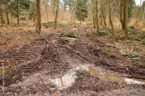 Gasse zum Transportieren von Holz in einem Wald photo