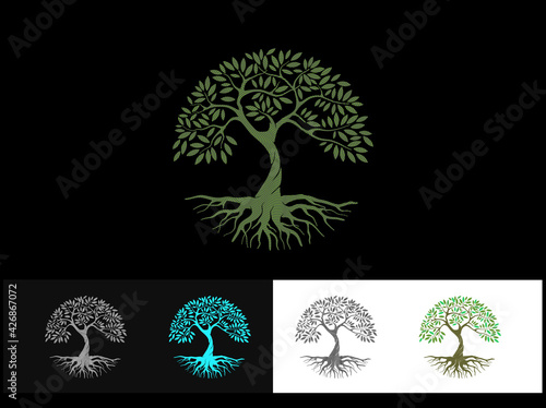 beautiful circular tree and roots vector, useful for logo design template