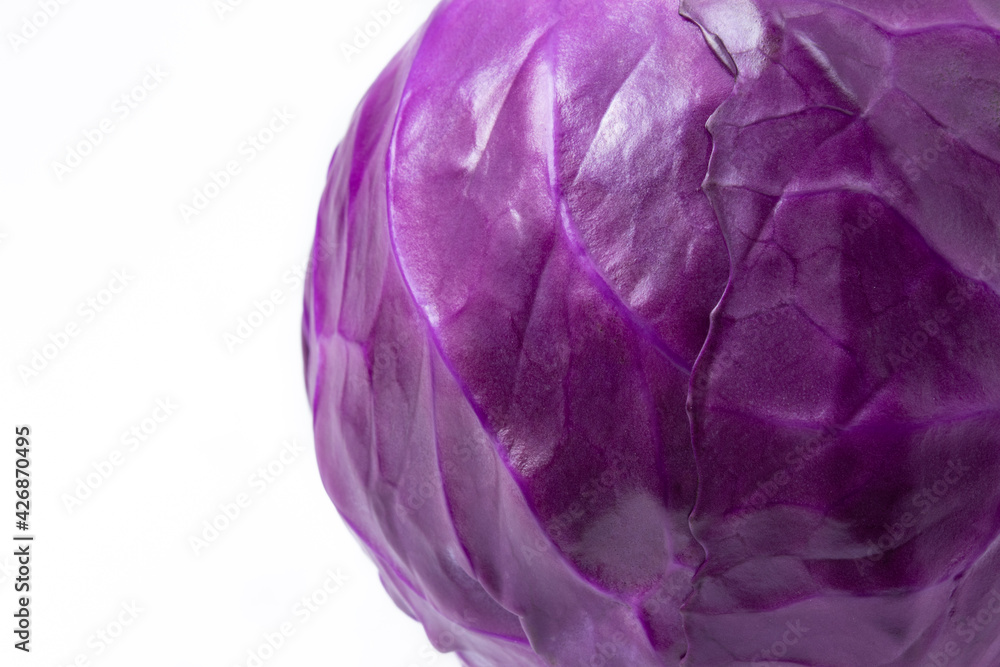 Fototapeta premium Close-up of whole fresh red cabbage head, isolated on white background