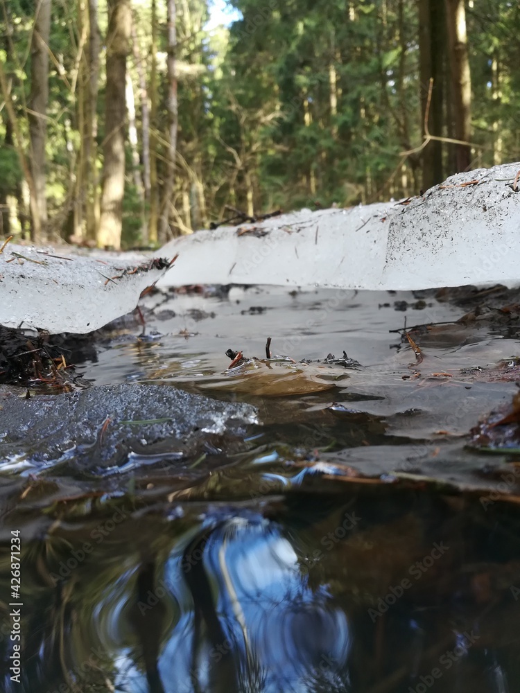 Obraz premium A small stream in the ice