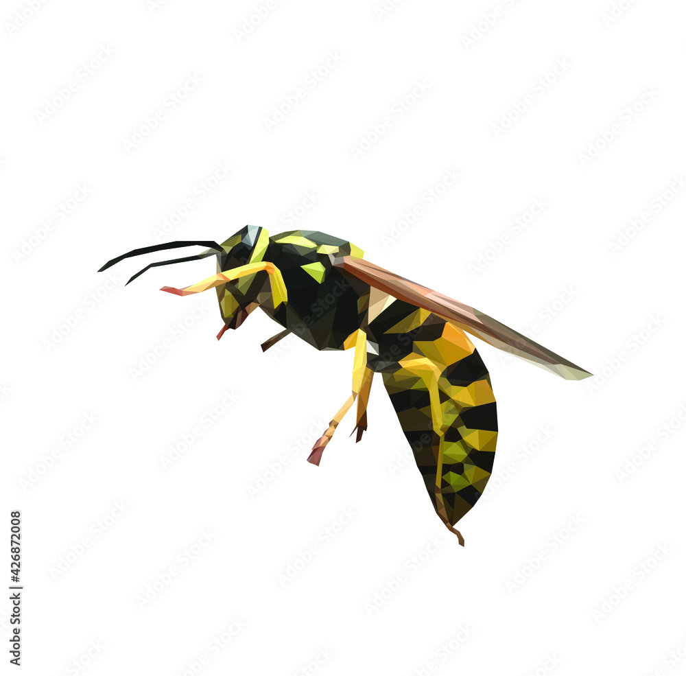 Geometrical, low poly, illustration of a yellow and black wasp isolated Geometrical, low poly, illustration of a yellow and black wasp isolated