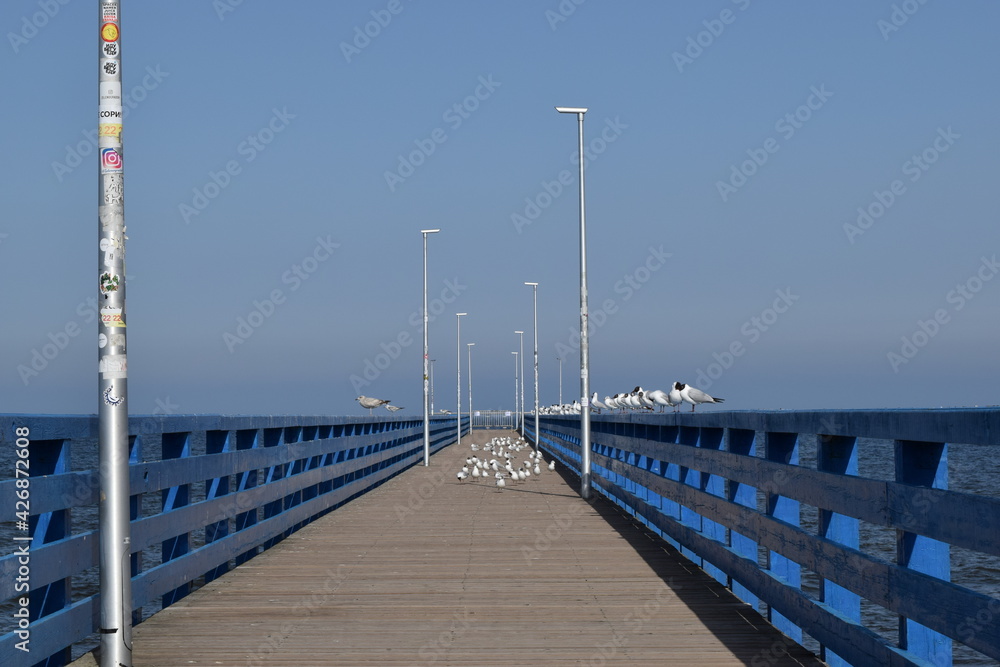 Long pier on the shores of the baltic sea.