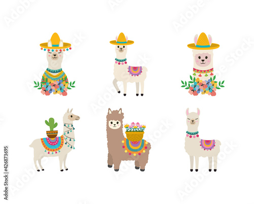 set funny llama