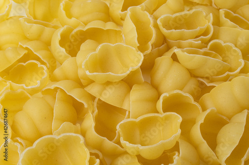 Texture of raw gnocchi or conchiglione pasta. Uncooked ingredient of Italian food isolated on white background photo