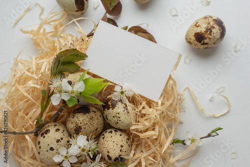 card mockup, greeting letter with quail egg in a nest Easter ho;iday decoration. with flowers  and leaves. zero waste. eco photo