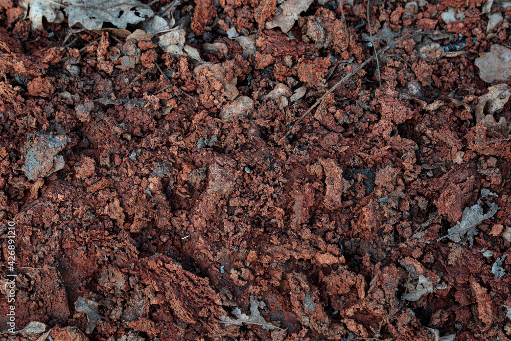 Red clay. Red soil background, earth texture, durt. Organic mud in woods. Nature landscape pattern Red clay. Red soil background, earth texture, durt. Organic mud in woods. Nature landscape pattern