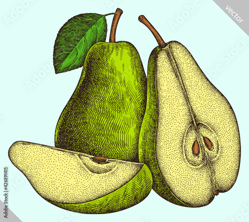 Engrave isolated pear hand drawn graphic vector illustration