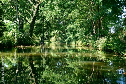 Fototapeta Naklejka Na Ścianę i Meble -  Nature reserve in Poland, Barycz Valley, trees, water, Park,