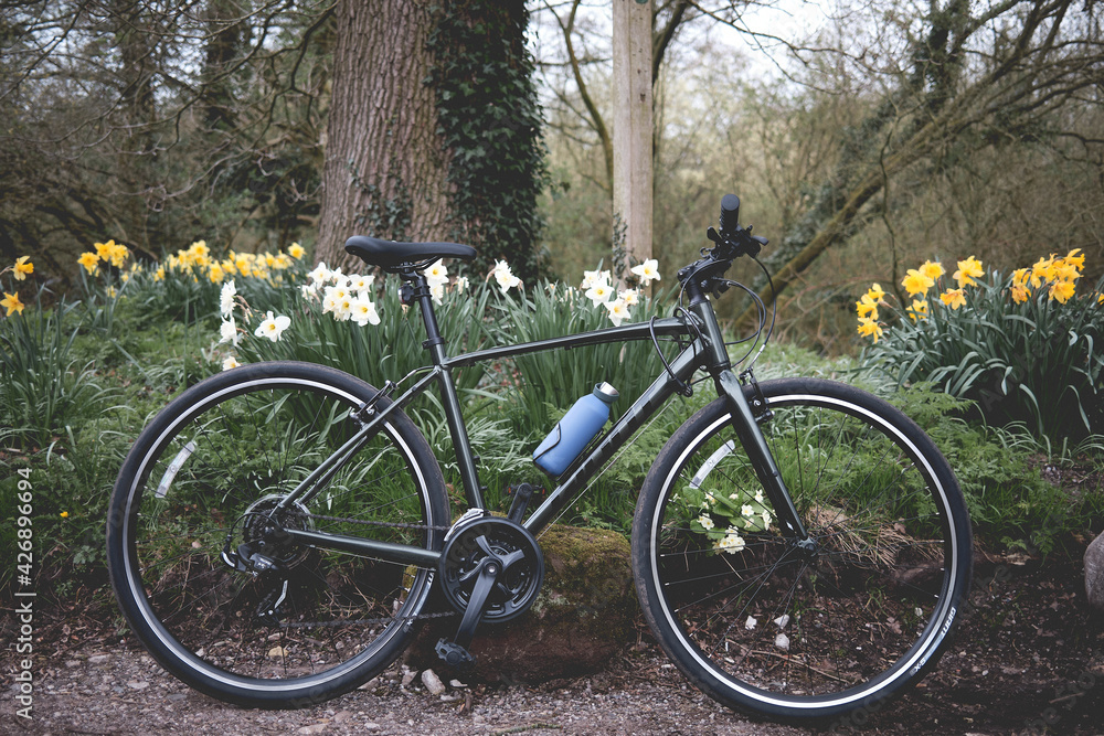 Fototapeta premium bicycle on the road