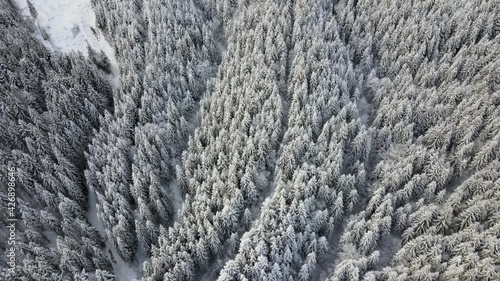Snowy mountains from a bird's eye view