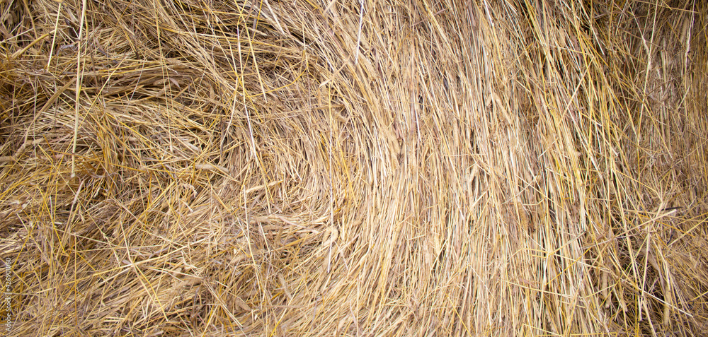 Close up of straw background texture. Concept image. Peaceful nature. Close up of straw background texture. Concept image. Peaceful nature.
