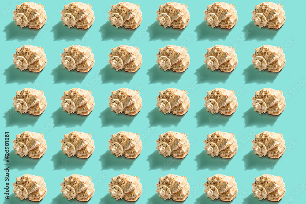 Seashells pattern on the turquoise background Seashells pattern on the turquoise background