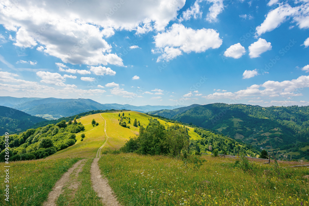 road through meadow in mountains. beautiful rural landscape of carpathians on a sunny day. wonderful summer weather with fluffy clouds on the sky