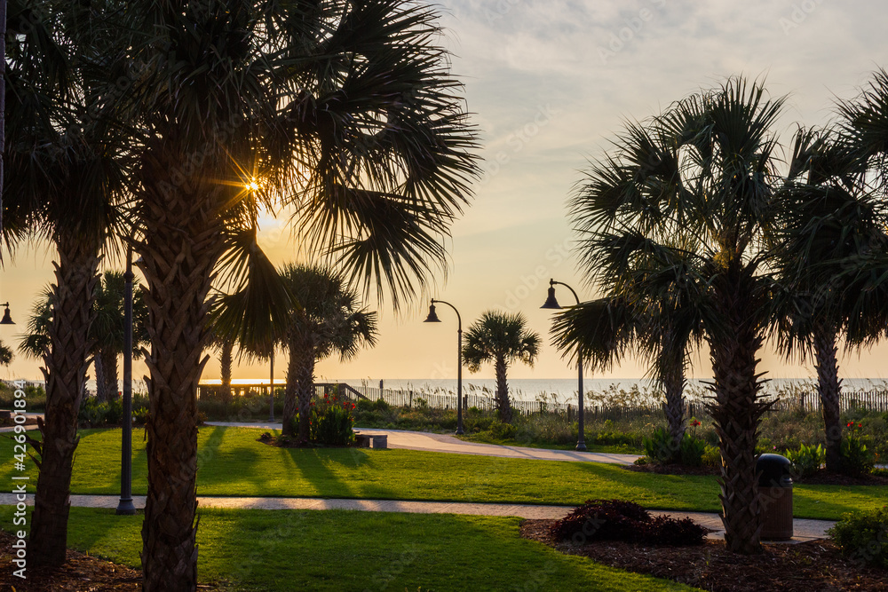 A beautiful park with palm trees, green grass and lanterns in the sun, the ocean on the horizon. Summer background. Morning tropical landscape with palm trees. Myrtle Beach, SC, USA A beautiful park with palm trees, green grass and lanterns in the sun, the ocean on the horizon. Summer background. Morning tropical landscape with palm trees. Myrtle Beach, SC, USA