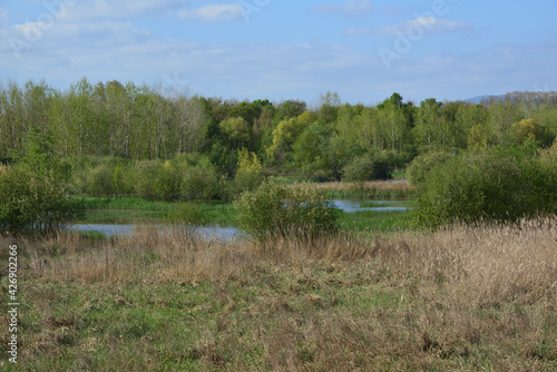 Paisaje cercano a un humeral, caminos, humeral ,idoneo para paseos.