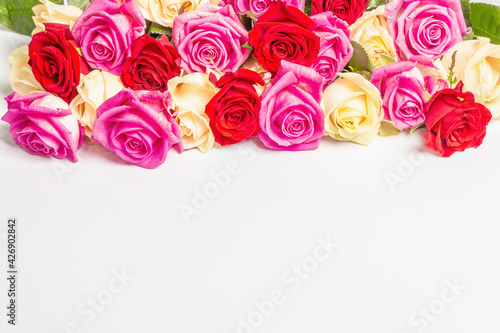 Assorted fresh multicolored roses isolated on white background