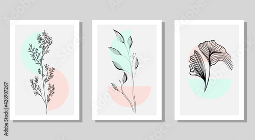 Abstract wall art gallery, minimal and natural set of 3 prints with flowers and geometric shapes. Plant Vector art design for print, cover, wallpaper and ect.
