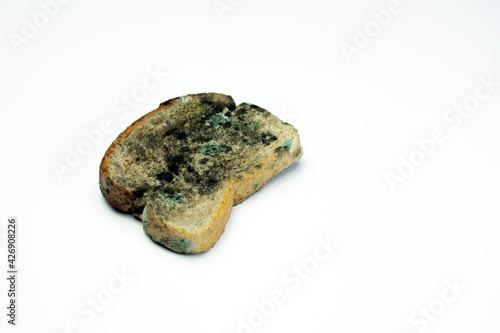 a moldy slice of bread on a white background