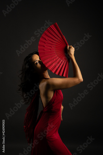 flamenco dancer dramatic dance photos