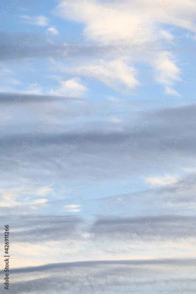 Streaky pastel clouds in early evening, shades of blue, gray, and white, as a nature background
Streaky pastel clouds in early evening, shades of blue, gray, and white, as a nature background