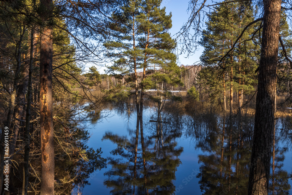 Trees in the water lit by the sun. High water in early spring. The river overflowed its banks. Trees in the water lit by the sun. High water in early spring. The river overflowed its banks.