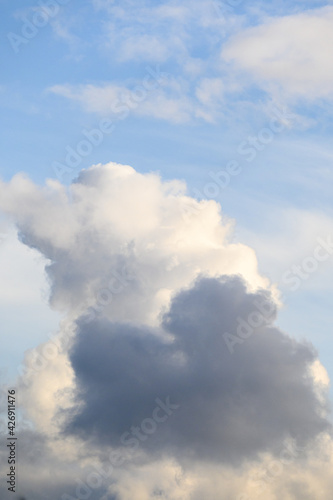 Beautiful cloudscape of puffy clouds in shades of white, blue, and gray, as a nature background © knelson20